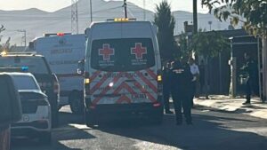 MUEREN 2 BEBES TRAS INCENDIO EN LA COL.VISTAS DEL NORTE