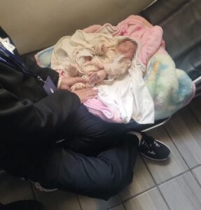 RESGUARDA MANDO UNICO DE LA SSPE A RECIEN NACIDA ABANDONADA EN CUAUHTEMOC